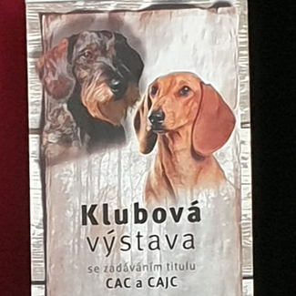 VJT Ausflug nach Holýšov